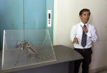 Vacuna contra el dengue, más necesaria que nunca por aumento de incidencia