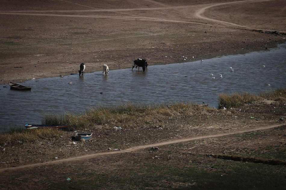 El lago Titicaca pierde vida, peces y habitantes por el avance de la contaminación