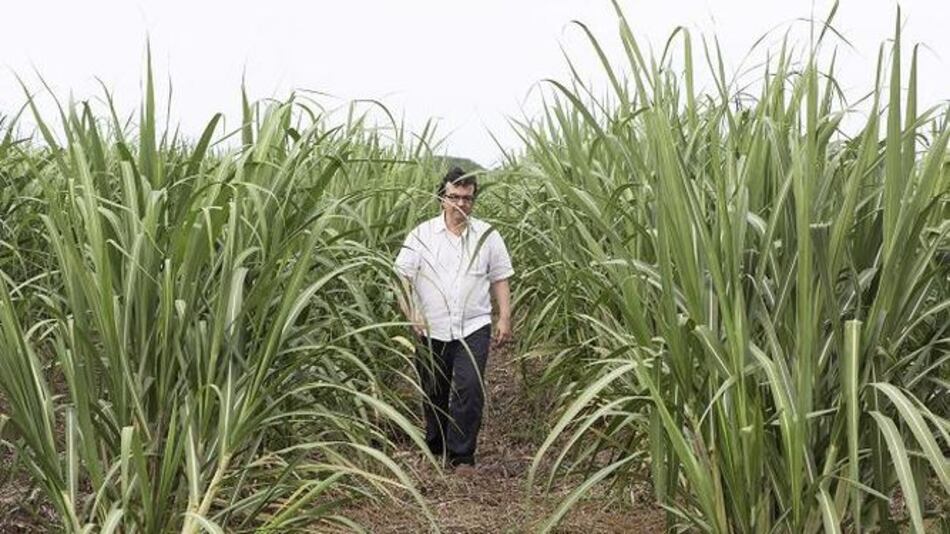 El escritor Javier Cercas y las formas de mirar el pasado