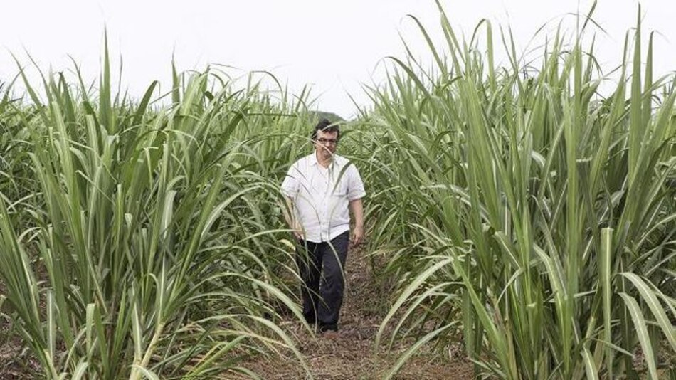 El escritor Javier Cercas y las formas de mirar el pasado