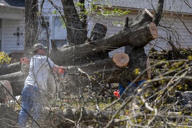 Aumentan a 26 los muertos por los tornados en Misisipi y Alabama en Estados Unidos
