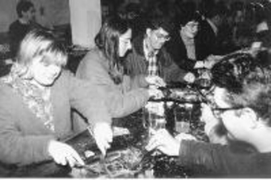 La comida y el español