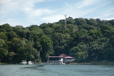El bosque, en el aula de clases