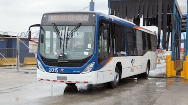 Mi Bus: Llegaron los últimos buses que completarán la flota de 203 vehículos