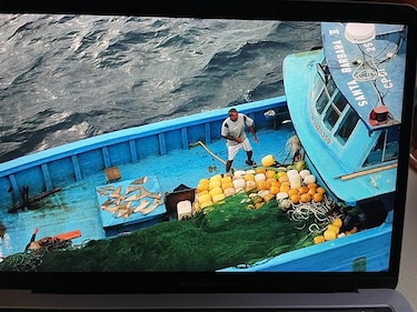 Detectan embarcación colombiana en aguas de la isla de  Coiba con aletas de tiburón