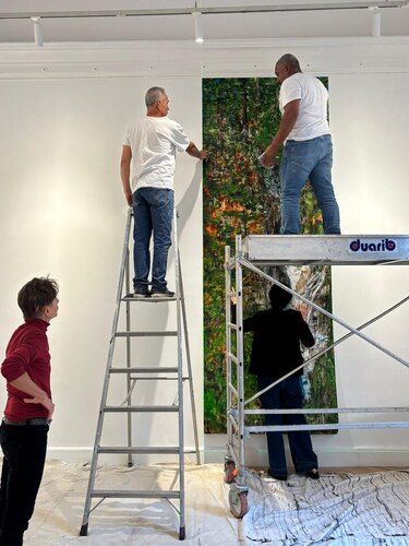 La selva del Darién llega a París: Panamá inaugura impactante exposición