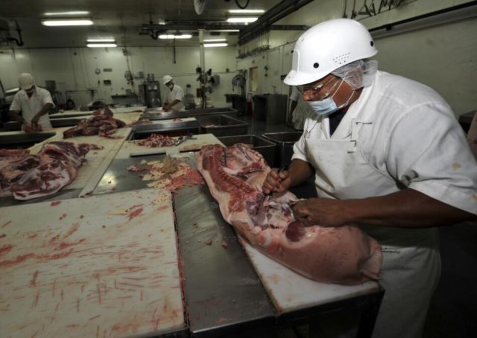 FAO publica lista de parásitos en alimentos y consejos para prevenir contagio