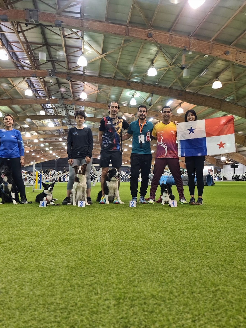 El auge del ‘agility’