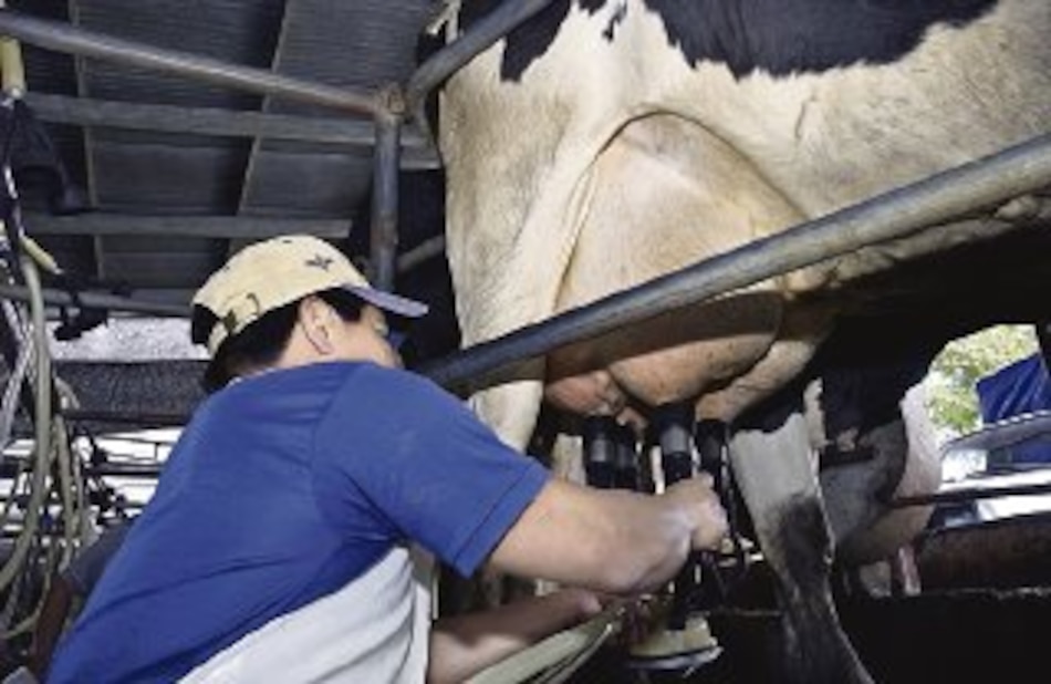 Nestlé anuncia nueva Leche Evaporada IDEAL con sello ‘Hecho en Panamá’