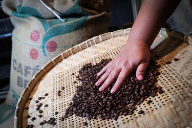 Investigadores de la UTP estudiarán los aromas y sabores del café panameño