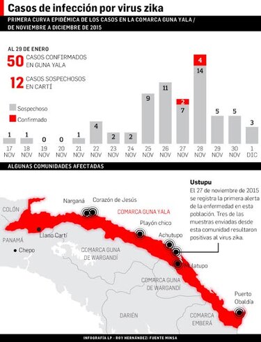 Virus zika, bajo el microscopio