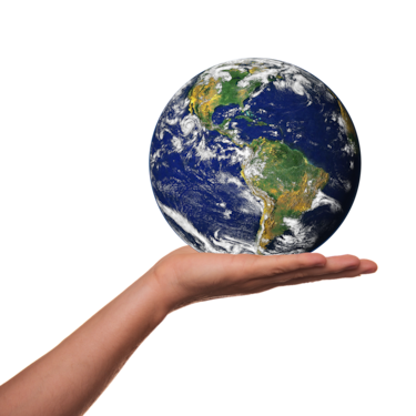 Educación ambiental: una necesidad urgente para el futuro