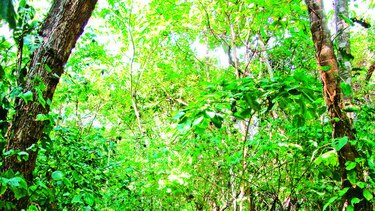 De viaje por la Colombia profunda