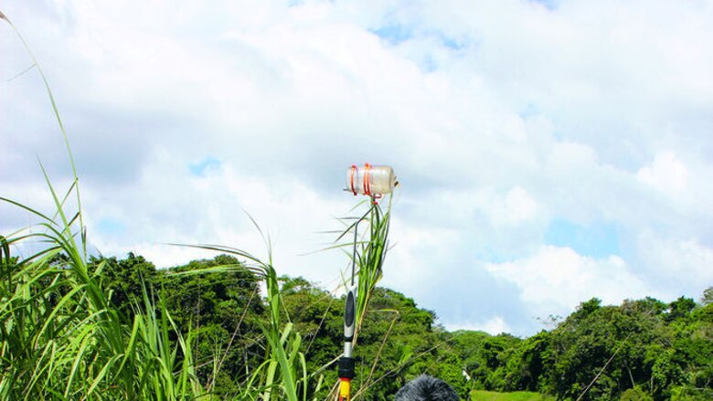 El arte de la fotomicrografía