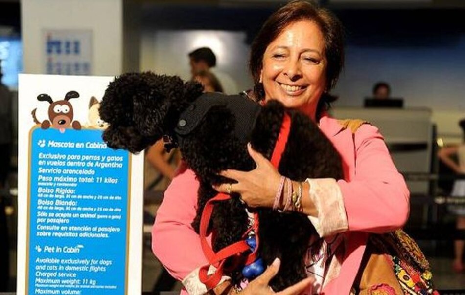 Por primera vez una mascota viaja con su dueña en la cabina