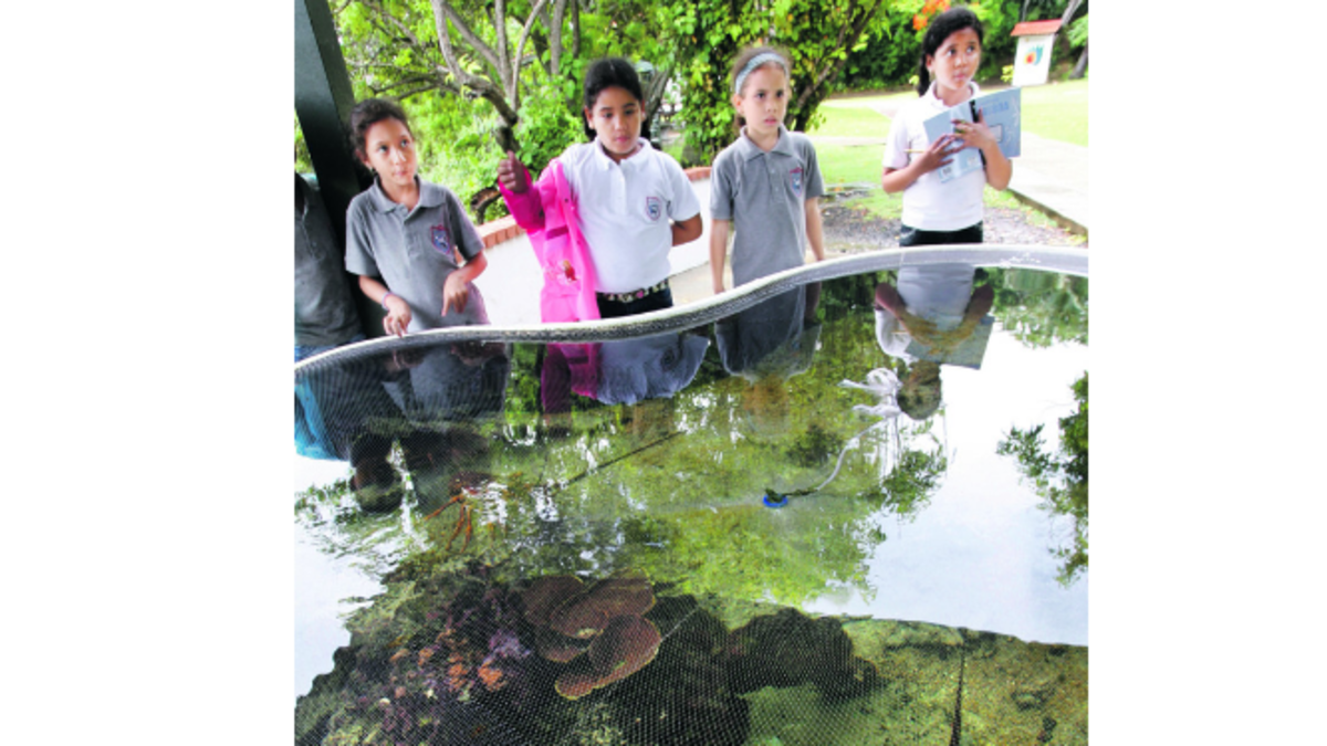 El Centro Natural Punta Culebra será la sede del campamento del campamento científico del Instituto Smithsonian.