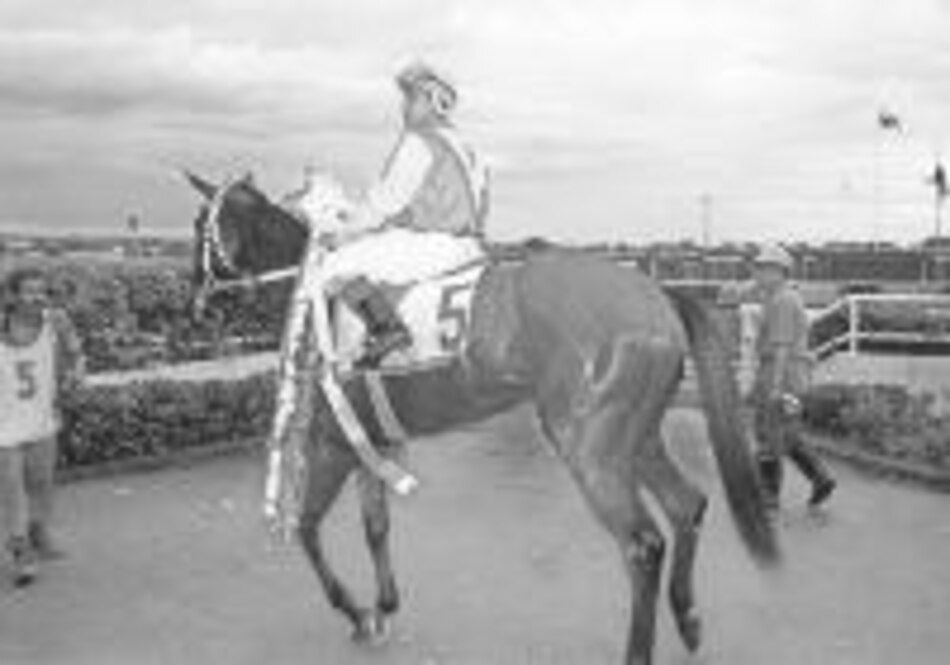 Miss Cariñosa y Yorky ganan pruebas estelares
