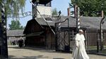 El dolor silencioso del papa Francisco en Auschwitz