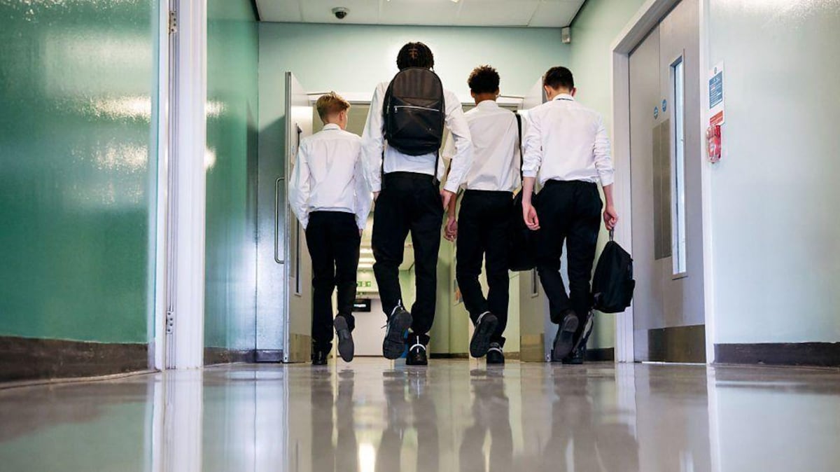 La urgencia de ser puentes y no bandos en el hogar y las escuelas