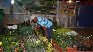 Artesanos exponen productos para todos los gustos en la Feria de Capira