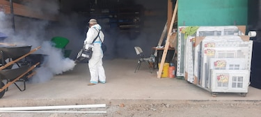 El Minsa reporta este año 8 muertes por dengue y 21 casos de gusano barrenador en humanos
