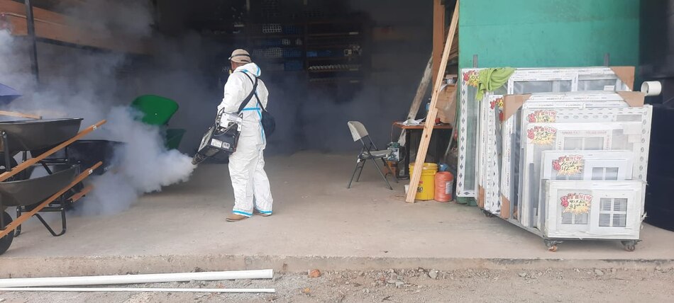 El Minsa reporta este año 8 muertes por dengue y 21 casos de gusano barrenador en humanos