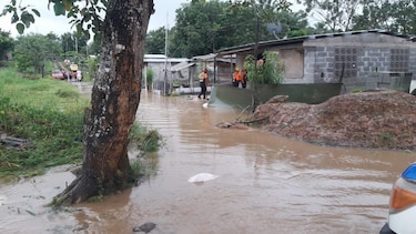 Alerta por efectos ciclónicos de la tormenta Ian: unas 150 casas inundadas, ríos desbordados y caídas de árboles