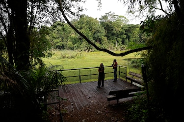 Semana del Clima de Panamá buscará vías para alinear la economía con la descarbonización