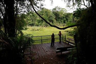 Panamá se consolida como destino para la observación de aves en el Global Big Day