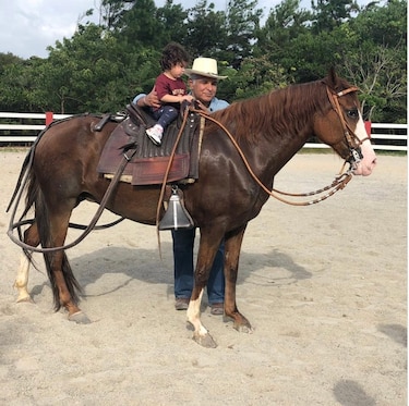 José Raúl Mulino: armas, represión, radares y la candidatura que heredó de Martinelli