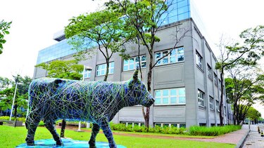 Regulador investiga operaciones de JBS