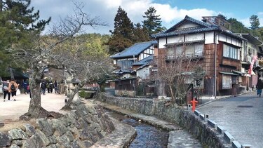 Naturaleza, fe y paz en la isla Itsukushima