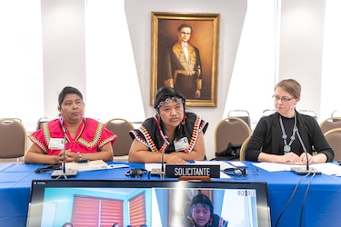 La CIDH pidió a Panamá garantizar el derecho a un medio ambiente sano