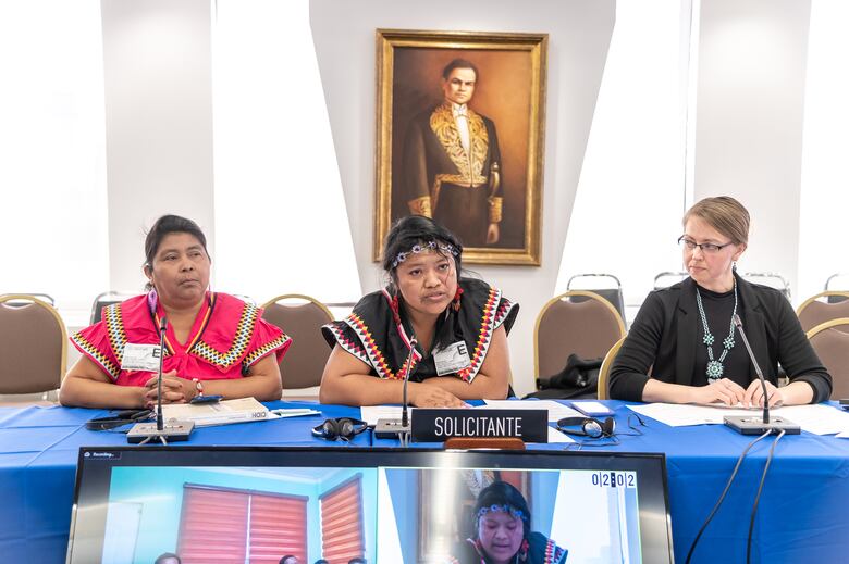 La CIDH pidió a Panamá garantizar el derecho a un medio ambiente sano