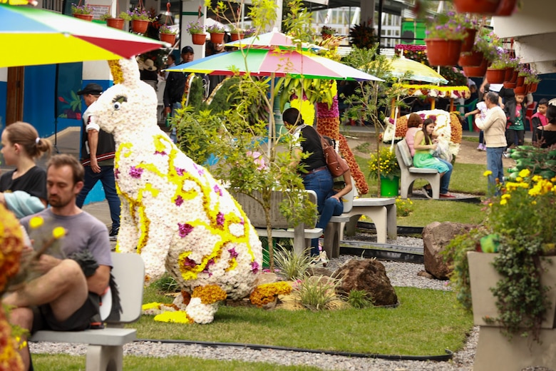 Un viaje por el color y el aroma de las flores que adornan las calles de Volcán