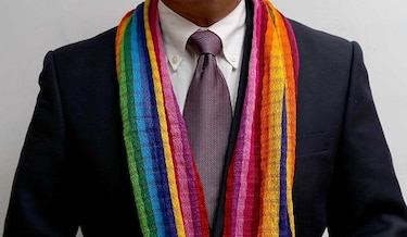 Opiniones divididas sobre experto en derechos LGBT