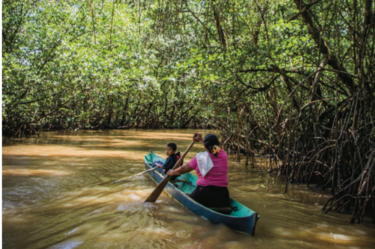 Los patrones y las formas que se dibujan desde la distancia