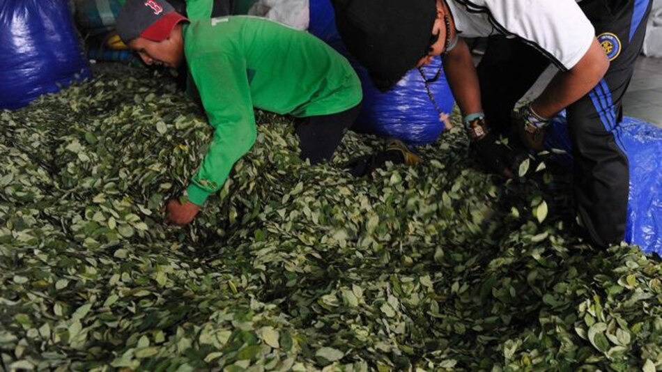 Evo Morales aprueba ley de coca tras tratamiento médico en Cuba