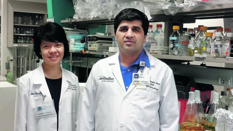 El rol de una proteína en el Parkinson