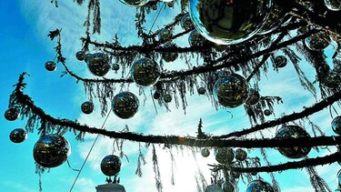 Roma se divierte con su árbol de Navidad ‘pelado’