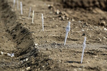 Milán entierra los cuerpos no reclamados de víctimas de coronavirus