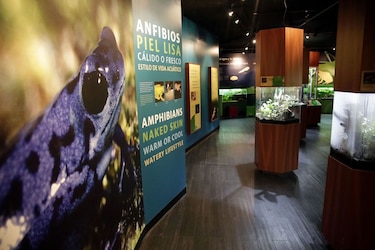 Centro natural Punta Culebra del Smithsonian reabre sus puertas al público
