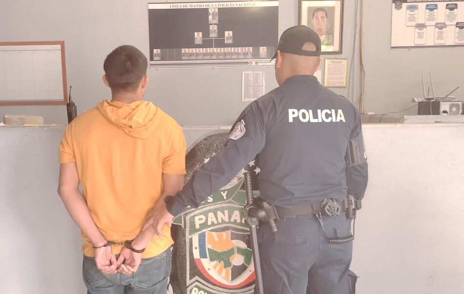 462 detenidos en 2025 por delitos sexuales, la mayoría por violación