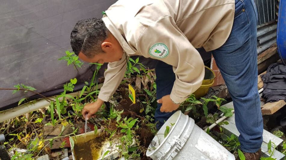 Se disparan casos de dengue en Ocú