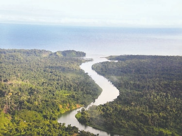 Obra amenaza área ecológica