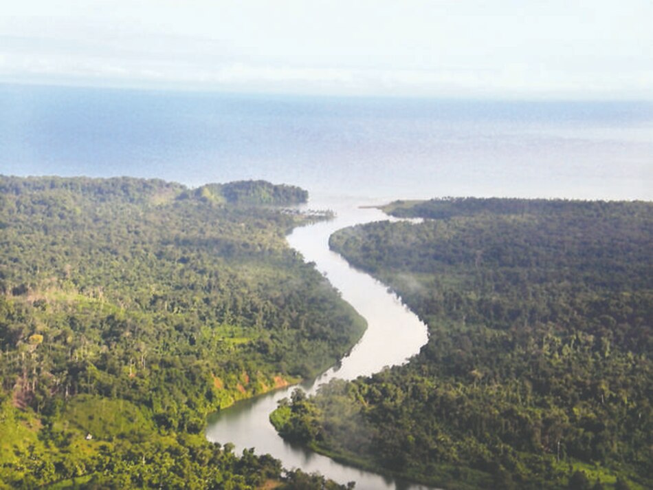 Obra amenaza área ecológica