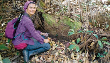 Dentro del araña-verso