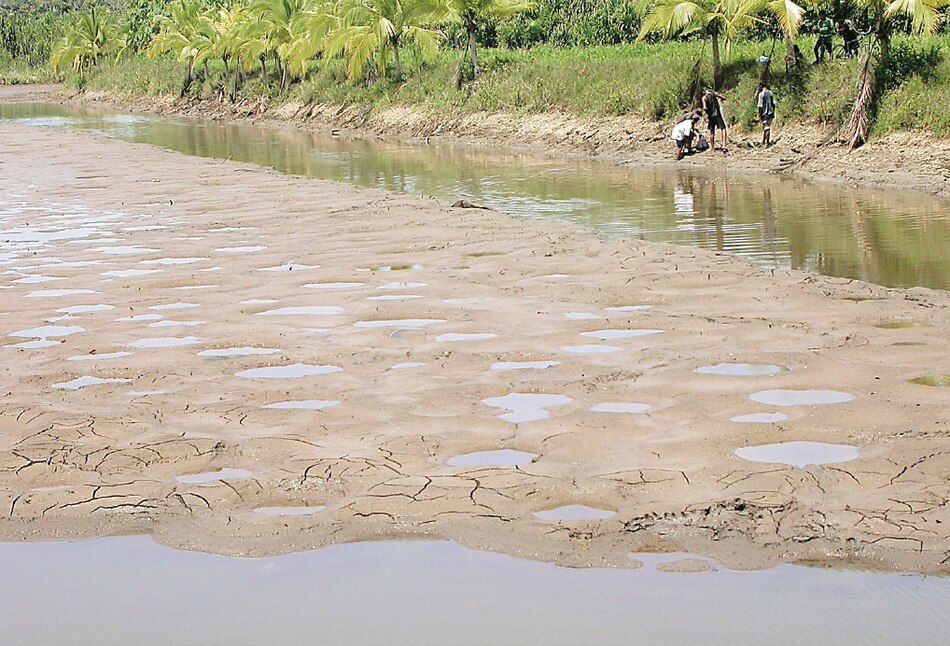 El Niño provocará sequías más severas y picos de calor