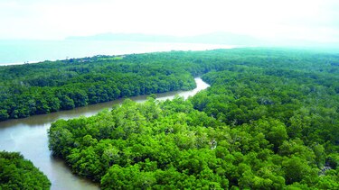 Antai investigará caso Isla de Cañas