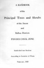 Sobre un libro y un árbol